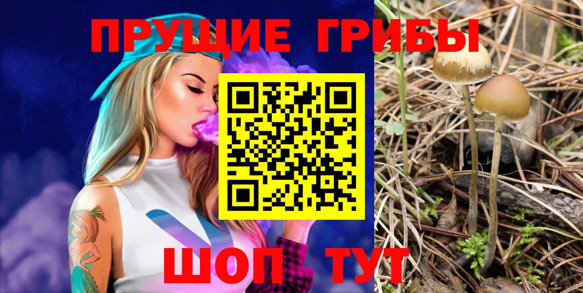 Псилоцибиновые грибы ЛСД Асино